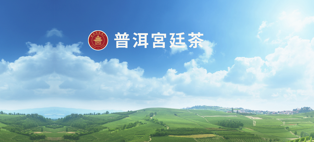 雲南宮廷茶:品味千年茶文化的精髓