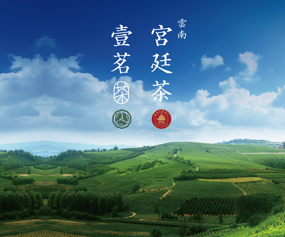 探索雲南宮廷茶的魅力:2025香港國際茶展壹茗推介