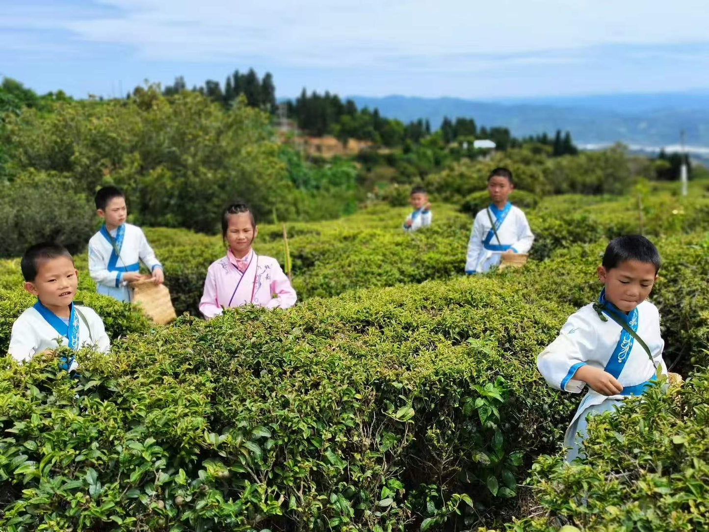 【茗境茶道】茗茶工作坊 (茶藝-入門班)
