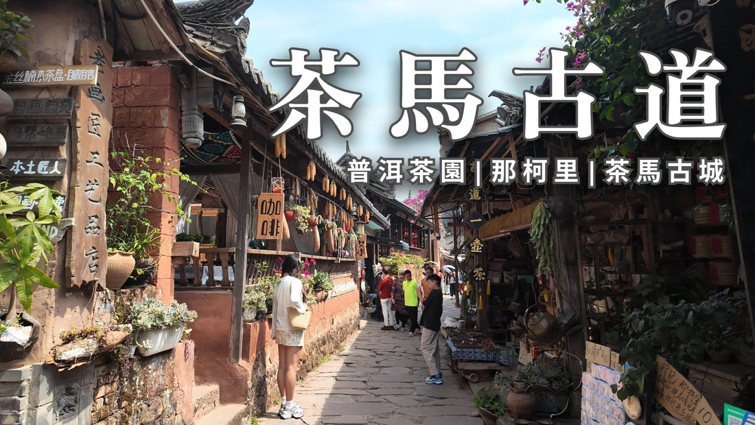 Discovering the Source of Pu'er: Yi Ming's Journey Along the Ancient Tea Horse Road — Where Century-Old Craftsmanship Meets Ethnic Culture