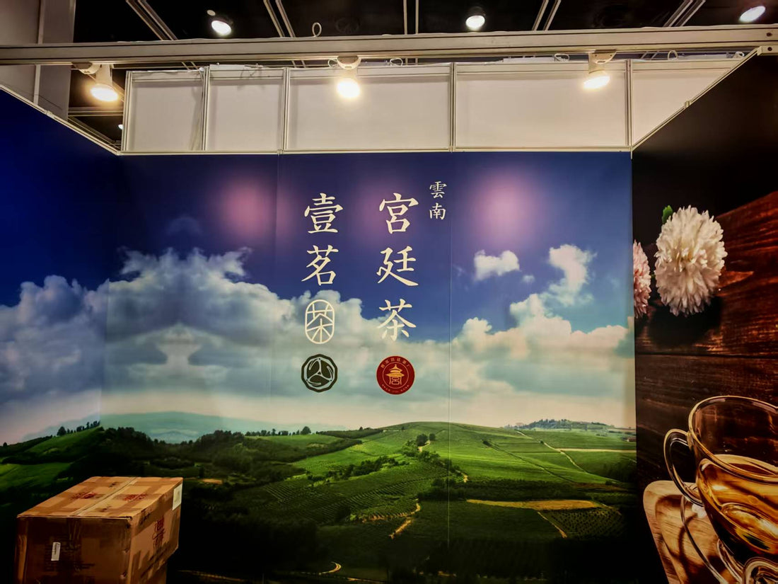 Discovering the Charm of Yunnan Imperial Tea: Camellia Wisdom at the 2025 Hong Kong International Tea Fair