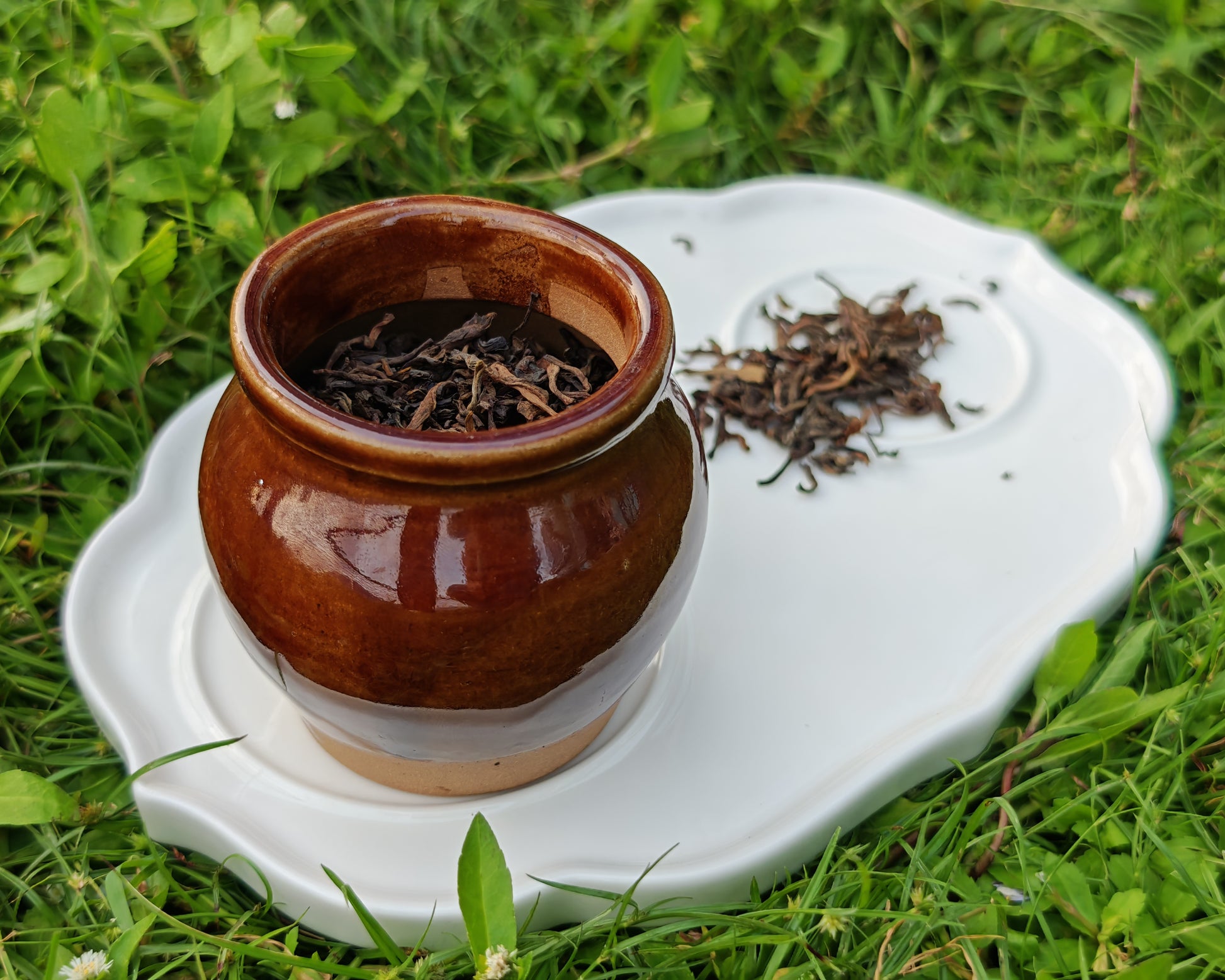 白色瓷盤上的普洱茶具套組。盤內放置著一小堆散落的深褐色普洱茶葉，以及一個裝有茶葉的棕色復古陶瓷茶罐。背景為模糊的綠色草地。普洱茶具套組-茶葉與復古茶罐